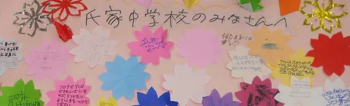 2020年11月